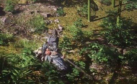 《黑神话悟空》葛蕈作用及获取位置分享