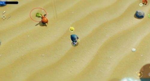 《塞尔达传说智慧的再现》急需泡泡海带哔任务流程介绍