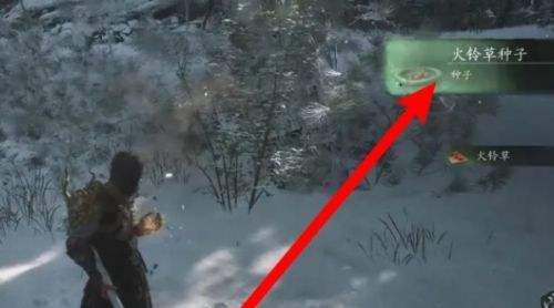 《黑神话悟空》火铃草分布最密集地点分享