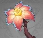 原神灼灼彩菊位置分布及最高效采集路线