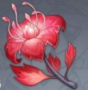 原神血斛哪裏多 80个血斛最高效采集路线一览