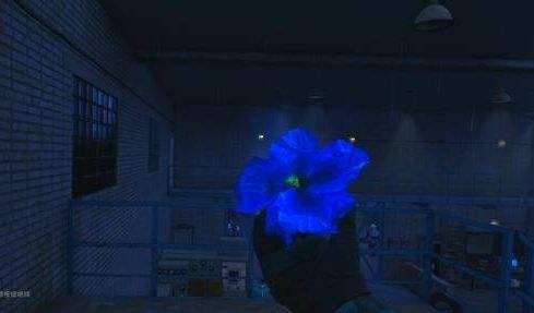 《潜行者2》特殊神器怪异的花获取位置一览