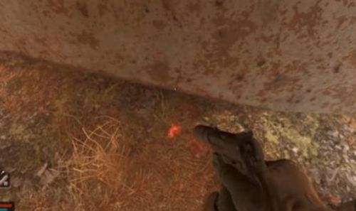 浩劫杀阵2：车诺比之心罗多契卡教授碉堡卡门BUG解决办法