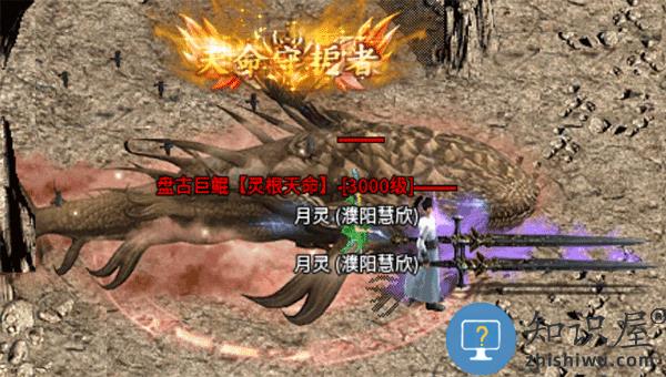 龙城决灵根天命攻略 龙城决灵根天命攻略