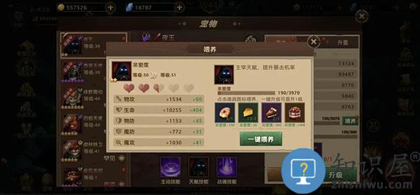 暗影之魂宠物怎么提升等级 暗影之魂宠物提升等级方法