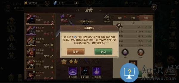 暗影之魂宠物怎么养 暗影之魂宠物培养方法