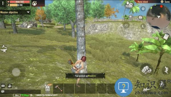 代号岛屿国际服 代号岛屿国际版游戏下载