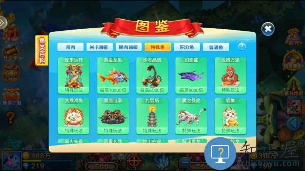 小玛丽捕鱼鱼类图鉴 小玛丽捕鱼鱼类图鉴