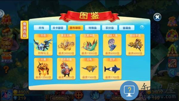 小玛丽捕鱼鱼类图鉴 小玛丽捕鱼鱼类图鉴