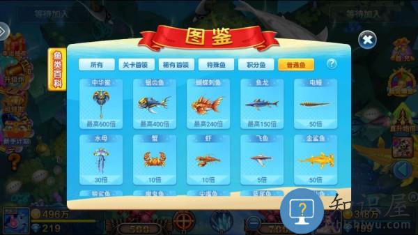小玛丽捕鱼鱼类图鉴 小玛丽捕鱼鱼类图鉴