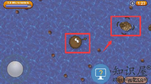 美味星球永恒手机版 美味星球永恒手机版