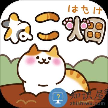 猫咪田园中文版下载v2.5.1 安卓版