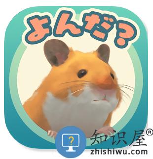 云仓鼠汉化版下载v5.0.15 安卓版