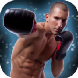 自由搏击2战斗冲突下载v0.29 安卓版