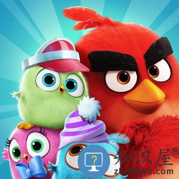 愤怒的小鸟消除大赛内购破解版下载v9.3.2 安卓汉化版